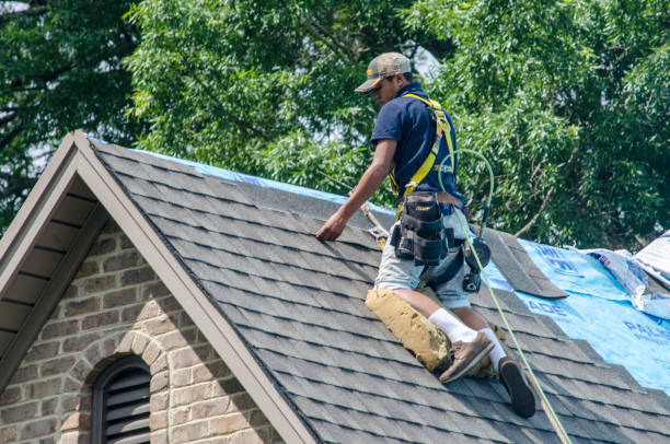 Best Gutter Installation and Roofing  in Perryman, MD